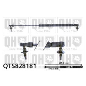 Osta Kaasujousi, tavaratila QUINTON HAZELL:llä QTS828181 edullisesti hintaan 19,84&nbsp;&euro;