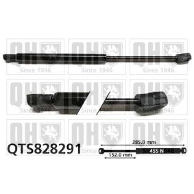 Køb Bagklapsdæmper af QUINTON HAZELL QTS828291 til den lave pris 129,13&nbsp;kr.