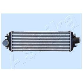 Achetez des Intercooler ASHIKA RDI093004 à prix pour 298,33&nbsp;&euro;