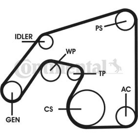 Compre Jogo de correias trapezoidais estriadas da CONTITECH 6PK2260D3 a um preço baixo por 304,60&nbsp;&euro;