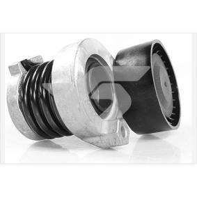 HUTCHINSON T0580 Spannrolle RENAULT THALIA 2 (LU1/2) 1.5 64 PS Diesel