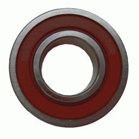 Pilotlager, Kupplung von SACHS 1863 600 104