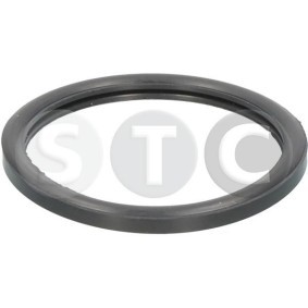 STC T402362 Kühlwasserabdichtung RENAULT CLIO 1 (B/C57, 5/357)