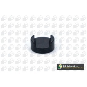 BGA TP3999 Guia de válvula OPEL COMBO