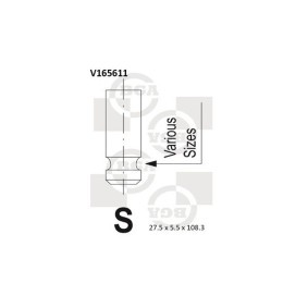 BGA V165611 Auslaßventil TOYOTA AURIS