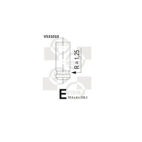 BGA V531010 Válvula de admissão PEUGEOT EXPERT