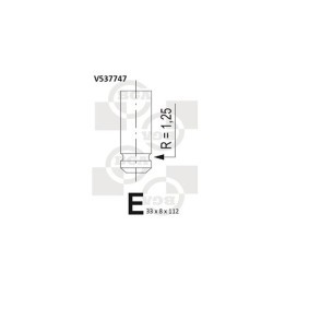 BGA V537747 Válvula de escape ROVER