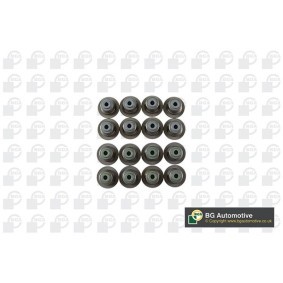 Ventilschaftdichtung-Satz von BGA VK2372