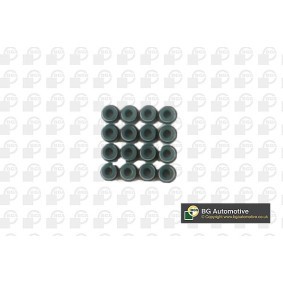 BGA VK4377 Ventilschaftdichtung RENAULT SCENIC 2 (JM0/1) 2.0 150 PS Diesel