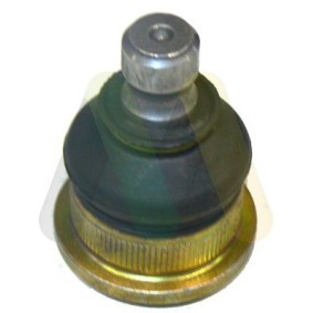 MOTAQUIP VSJ930 Rótula de suspensão NISSAN Micra C+C 3 (K12)