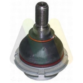 MOTAQUIP VSJ943 Rótula de suspensão CITROËN C5 3 (RD) 2.7 204 cv Diesel