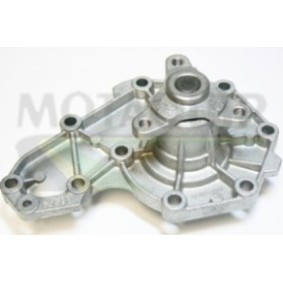 MOTAQUIP VWP268 Einlaßventil RENAULT LAGUNA 1 (B56, 556) 2.0 109 PS Otto