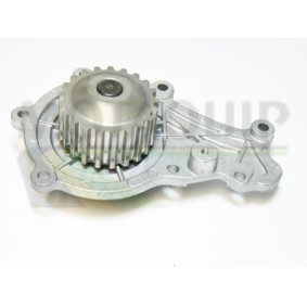 MOTAQUIP VWP781 Wasserpumpe CITROËN C2 Enterprise (JG_)