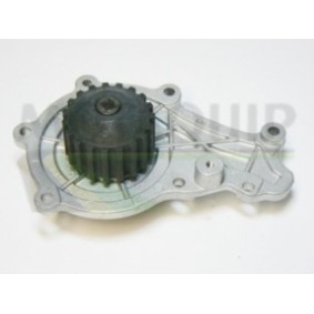 MOTAQUIP VWP831 Vattenpump PEUGEOT 207 SW (WK_) 1.6 90 hk Diesel