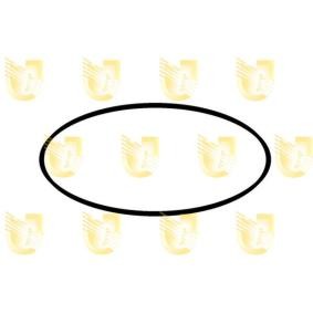 UNIGOM X38464 Retén de la bomba de aceite FIAT