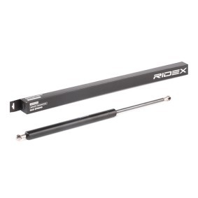 RIDEX 219G0847 Heckklappendämpfer MITSUBISHI