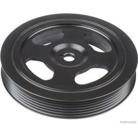 HERTH+BUSS JAKOPARTS J1090303 Poulie damper KIA CEE'D 3/5 portes (ED) 1.4 87 CV Essence