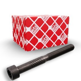 Kjøp Ventilklaring stilleskrue av FEBI BILSTEIN 100729 til den lave prisen 31,48&nbsp;kr