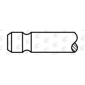 Comprar Válvula de admisión de AE V95119 a bajo precio de 10,05&nbsp;&euro;