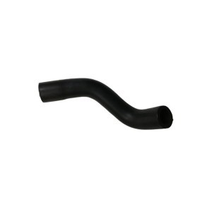 BUGIAD BSP25021 Tubo flexível do óleo AUDI