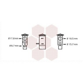 SMART Expansionsventil VAN WEZEL 29001005