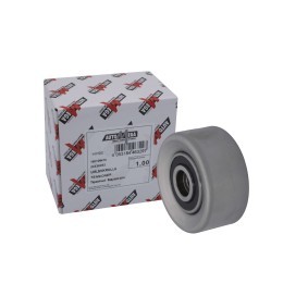 AUTOMEGA 160108410 Galoppino / guidacinghia, cinghia dentata CHEVROLET AVEO Tre volumi (T300) 1.6 116 CV Motore a ciclo otto