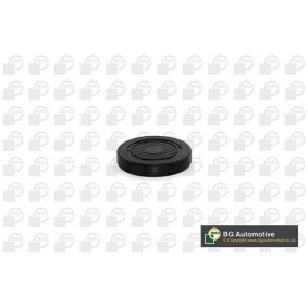 BGA PL4601 Schlepphebel RENAULT Scénic 1 (JA0/1_, FA0_) 2.0 139 PS Otto