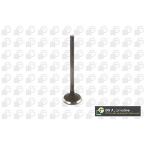Comprar Válvula de escape de BGA V254712 a bajo precio de 14,78&nbsp;&euro;