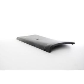 Osta Suoja- / koristelista, lokasuoja BSG:llä BSG 70-922-024 edullisesti hintaan 55,86&nbsp;&euro;