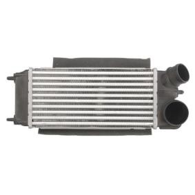 THERMOTEC DAG014TT Intercooler FORD FIESTA