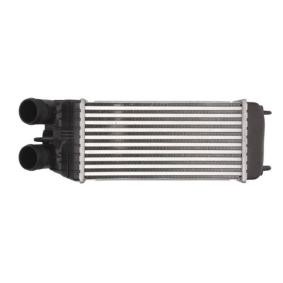 THERMOTEC DAP003TT Ladeluftkühler PEUGEOT 207
