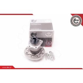 Osta Pyöränlaakerisarja ESEN SKV:llä 29SKV113 edullisesti hintaan 90,78&nbsp;&euro;