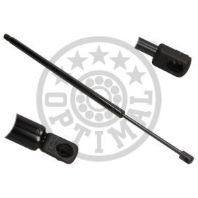 Heckklappendämpfer AG-40605 für PEUGEOT