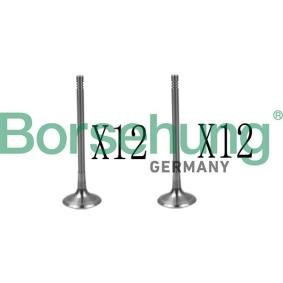 Borsehung B18639 Valvola espansione climatizzatore VW ATLAS
