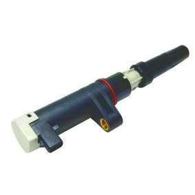 LIZARTE BOBEN002 Zündspule RENAULT SCENIC 2 (JM0/1) 2.0 135 PS Otto
