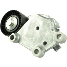 FAST FT44619 Spannrolle CITROËN C3 I Schrägheck (FC_, FN_) 1.4 68 PS Diesel