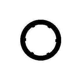 VEGAZ BD-141 Auspuffdichtung BMW X5