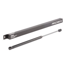 RIDEX 219G0547 Heckklappendämpfer MITSUBISHI