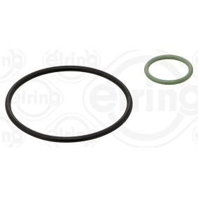 ELRING 880.100 Bomba de vácuo, sistema de travagem LANCIA