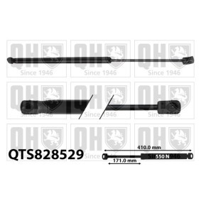 QUINTON HAZELL QTS828529 Pistoncini portellone HYUNDAI IONIQ