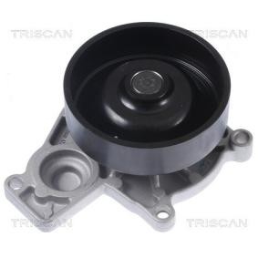 Compre Bomba de água da TRISCAN 8600 11050 a um preço baixo por 70,52&nbsp;&euro;