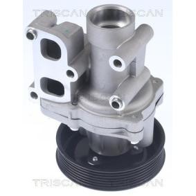 TRISCAN 8600 43023 Pompe à eau HYUNDAI SONATA V (NF) 2.0 144 CV Essence