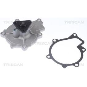 TRISCAN 8600 43024 Válvula de admisión HYUNDAI ix35 Furgón 2.0 136 cv Gasoleo