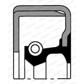 PAYEN NJ557 Akseltetningsring, hjulnav BMW