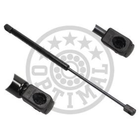 Heckklappendämpfer AG-40140 für PEUGEOT