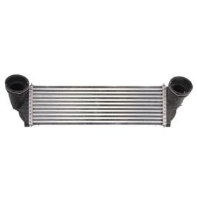 THERMOTEC DAB012TT Intercooler BMW X6