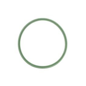 THERMOTEC DCB105TT Junta anular, conducto aire admisión MINI Clubman (R55)