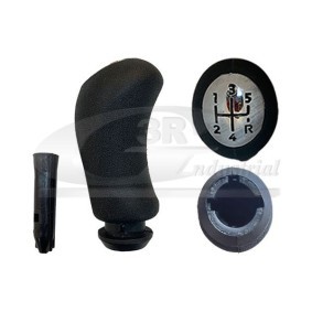 3RG 25601 Pomello del cambio DACIA