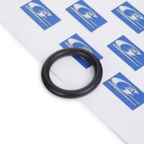 3RG 84219 Ansaugkrümmerdichtung CITROËN C2 Schrägheck (JM)