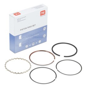 NE 8920620000 Kolbenringe FIAT TIPO